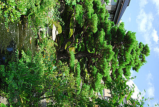 soi cau du doan xsmb chinh xac 100