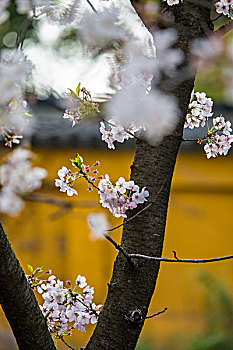 cầu số miền bắc