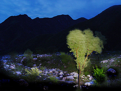 soi cầu đẹp