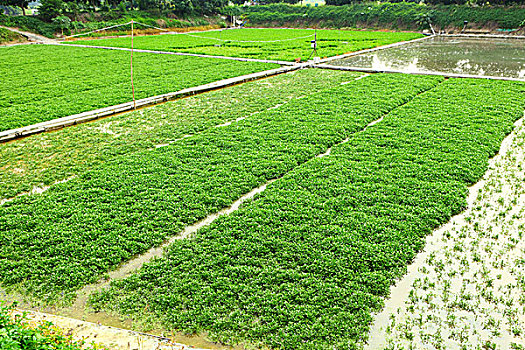 kết quả xổ số tây ninh