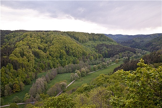 cau bach kim