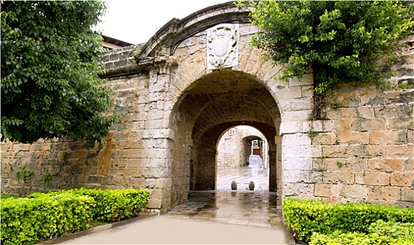 cầu miền bắc