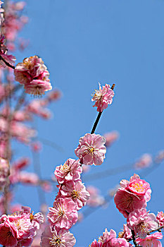 miền bắc hôm nay