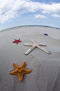 xo so phu yen