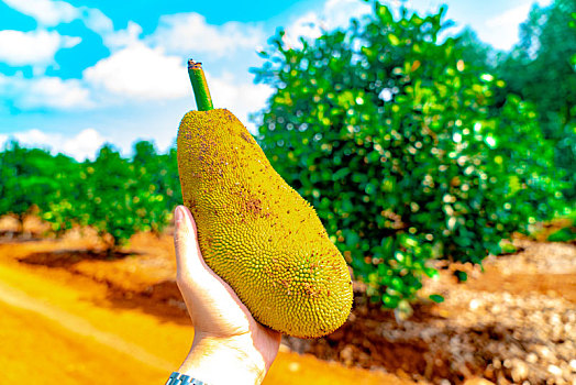 xổ số miền bắc 100 ngày gần đây
