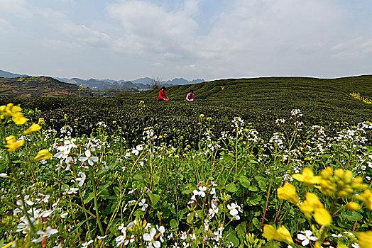 số miền bắc hôm qua