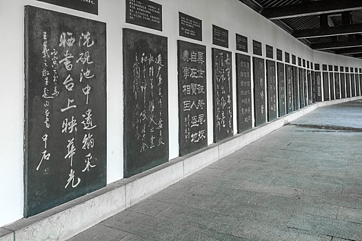 thống kê bach thủ