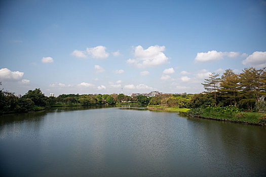 xs đài bắc