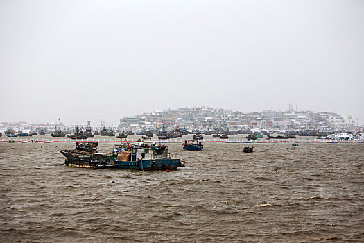 soi cau bạch thu mb