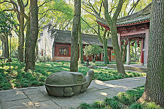 soi cau lo chinh xac 100