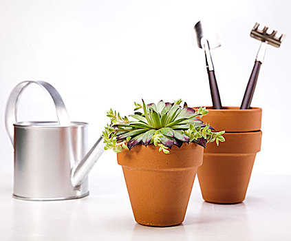 dự đoán xổ số quảng bình