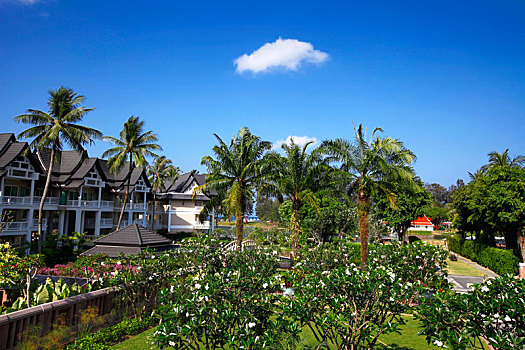 thống kê lô gan